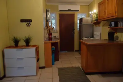 a kitchen with a counter and a refrigerator at Bushbaby Eden in Marloth Park