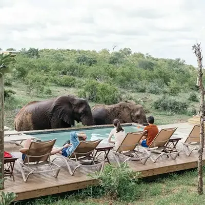 Isambane Camp