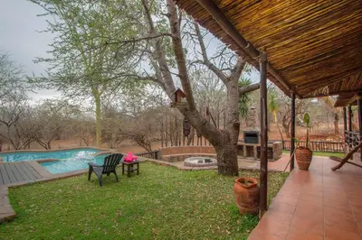a backyard with a tree and a swimming pool at Khaya Umdani Guest Houses in Marloth Park