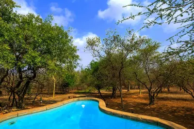 a swimming pool in a field with trees at Khaya Umdani Guest Houses in Marloth Park