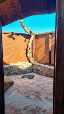 a snake hanging from a wall in a room at Kwalata Game Lodge in Klipdrift