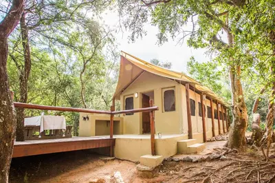 a house in the middle of a forest at Zwartkloof Adventures Tented Camp in Bela-Bela