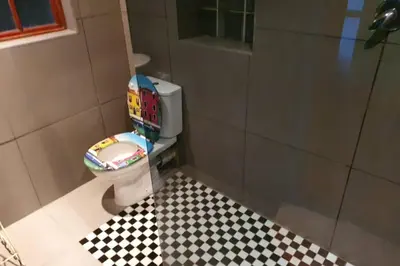 a bathroom with a toilet with a toy train on it at GILLFORD GALLERY ACCOMMODATION in Benoni