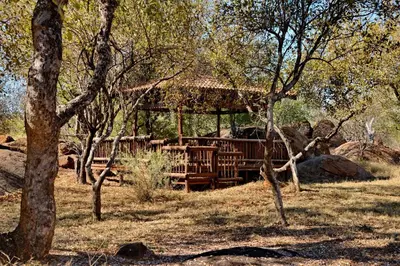 a wooden gazebo in a field with trees at Kameeldrift Waterfront Estate & Resort in Brits