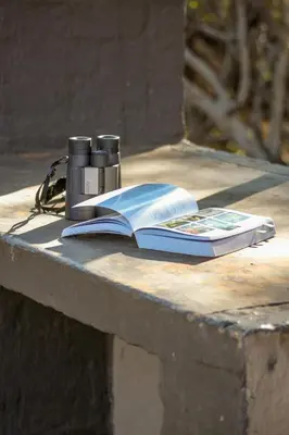 a book and a camera sitting on a table at Bushriver Lodge in Mica