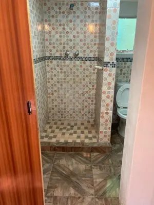 a bathroom with a shower with a toilet at Thullyteams guesthouse in Tzaneen