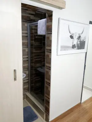 a bathroom with a sliding glass door with a picture of a bull at NST City Apartments @ Casalinga Villa in Nelspruit