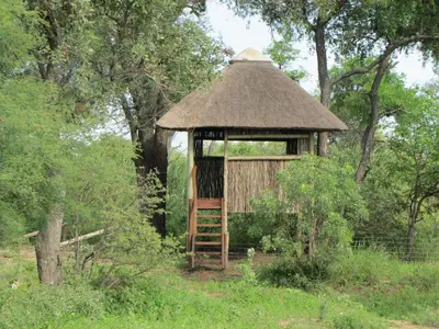 a small gazebo with a ladder in a field at Lodge 54 in Hoedspruit