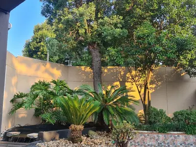 a garden with palm trees in front of a wall at Halfway Gardens Home in Midrand