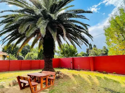 a palm tree with a table and two benches under it at Ithonsi Guesthouse in Kempton Park