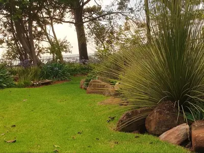 a garden with some plants and rocks and trees at Rand Self-catering Accommodation in Carolina