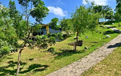 a house on the side of a hill with trees at SleepOver KMIA in White River