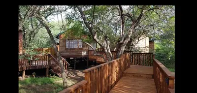 a wooden walkway leading to a cabin with a tree at Tranquillity Holiday Home in Marloth Park