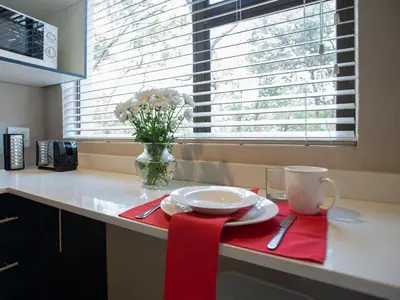 a kitchen counter with a plate and a vase of flowers at Mabalingwe Elephant Lodge 267-7 & 267-8 in Mabula