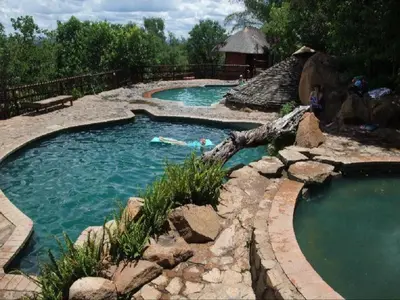a pool in a backyard with a log in the water at Mabalingwe Elephant Lodge 267-7 & 267-8 in Mabula