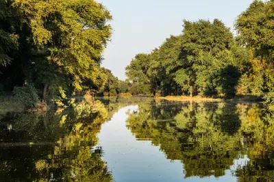 a river with trees reflecting in the water at Palala Boutique Game Lodge and Spa in Tom Burke