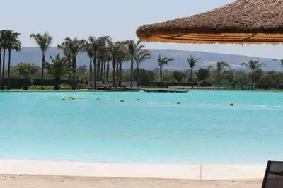 a large swimming pool with a straw umbrella and palm trees at Insaka 3 The Blyde Lagoon Experience in Pretoria