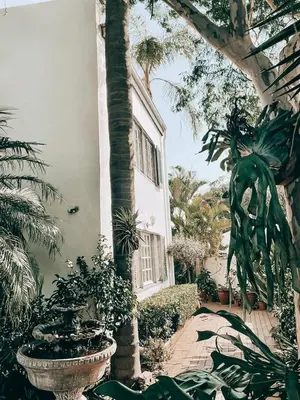 a house with a bunch of plants in front of it at Battiss Guest House in Pretoria