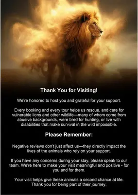 a picture of a lion flying in the sky at Pumbaa Wildlife Park & Accommodation in Nelspruit
