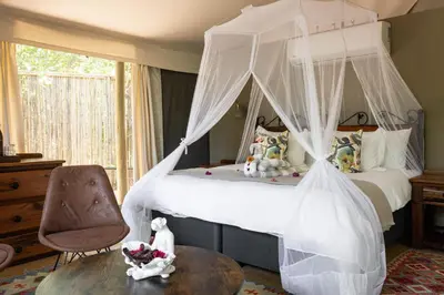 a bedroom with a canopy bed and a chair at Umkumbe Bush Lodge - Luxury Tented Camp in Sabi Sand Game Reserve