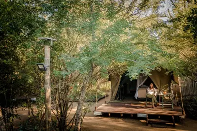 a woman sitting at a table in a tent at Umkumbe Bush Lodge - Luxury Tented Camp in Sabi Sand Game Reserve