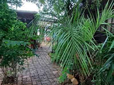 a path through a garden with some plants at Wooden Creek Estate in Kempton Park