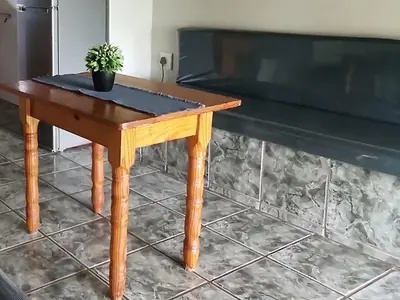 a wooden table with a potted plant on it at Moletani Game Ranch in Kareefontein