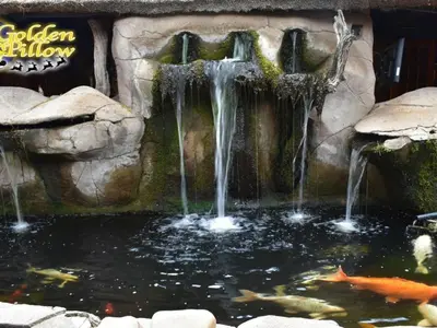 a waterfall in a koi pond in a garden at Golden Pillow Guest House in Polokwane