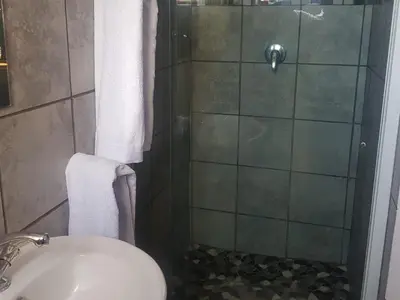 a bathroom with a shower with a toilet and a sink at Aloe 40 in Burgersfort