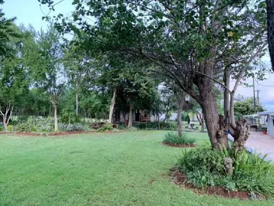 a tree in the middle of a green yard at Stay Harties Accommodation in Hartbeespoort