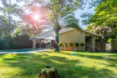 a house with a palm tree in the yard at Bela Rini Guesthouse in Bela-Bela
