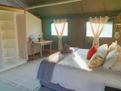 a bedroom with a large white bed with windows at Jabula Bush Camp in Klipdrift