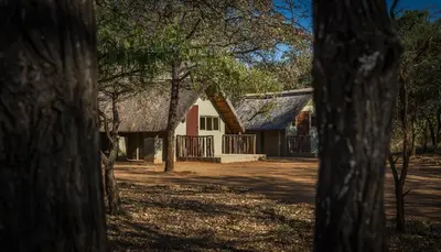 a house with a thatched roof is seen through the trees at Franks Bush Camp in Hoedspruit