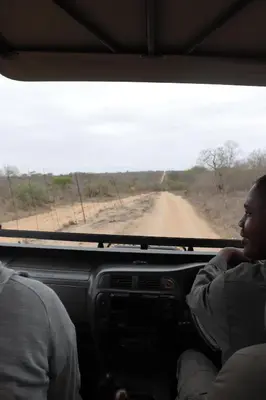a woman sitting in the front seat of a vehicle on a dirt road at Franks Bush Camp in Hoedspruit