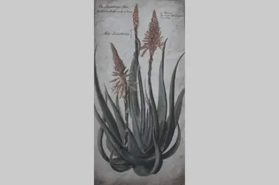 a painting of a cactus on a wall at The Aloes Bush Lodge in Marloth Park