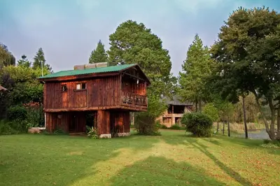 a wooden house with a green roof in a field at Rainbow Lodge in Belfast