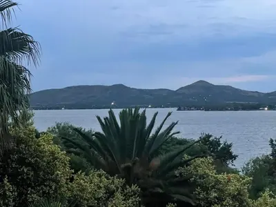 a palm tree in front of a large body of water at Cozy Coleman in Hartbeespoort