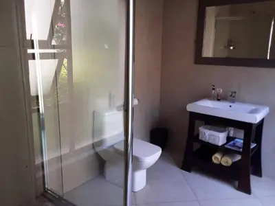 a bathroom with a shower and a toilet and a sink at Cozy Coleman in Hartbeespoort