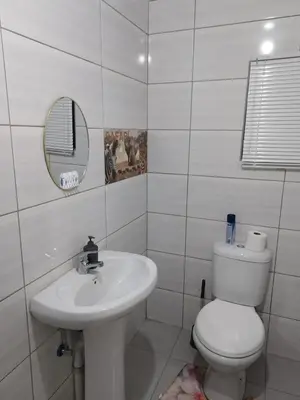 a white bathroom with a toilet and a sink at The Croc Guest house in Springs