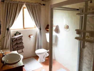 a bathroom with a toilet and a window and a sink at Glen Aden in Dullstroom