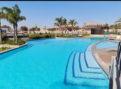 a large swimming pool with blue water and palm trees at Le Bon Dieu in Midrand