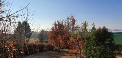 a garden with trees and a green building in the background at DullVino First House in Dullstroom