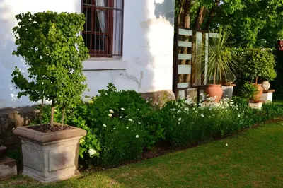 a plant in a stone planter in front of a house at The Gables Guest House in Belfast