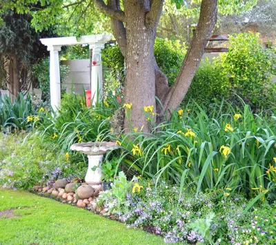 a garden with a tree and some flowers and a bench at The Gables Guest House in Belfast
