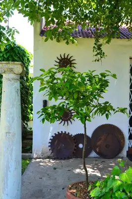 a small tree in a pot next to a wall at The Gables Guest House in Belfast
