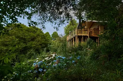 a tree house in the middle of a garden at AfriCamps Magoebaskloof in Magoebaskloof