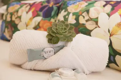 a plant sitting on top of two towels with a cactus at Ben's Bed and Breakfast in Pretoria