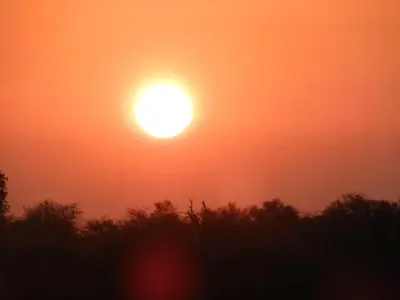 an orange sun setting over trees in a field at Bongan Safari Lodge in Mbabat