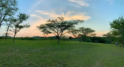 a grassy field with trees in a field at Hope Haven Cottage in Nelspruit