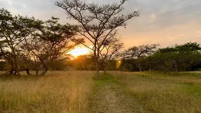 a dirt road in the middle of a field with trees at Hope Haven Cottage in Nelspruit
